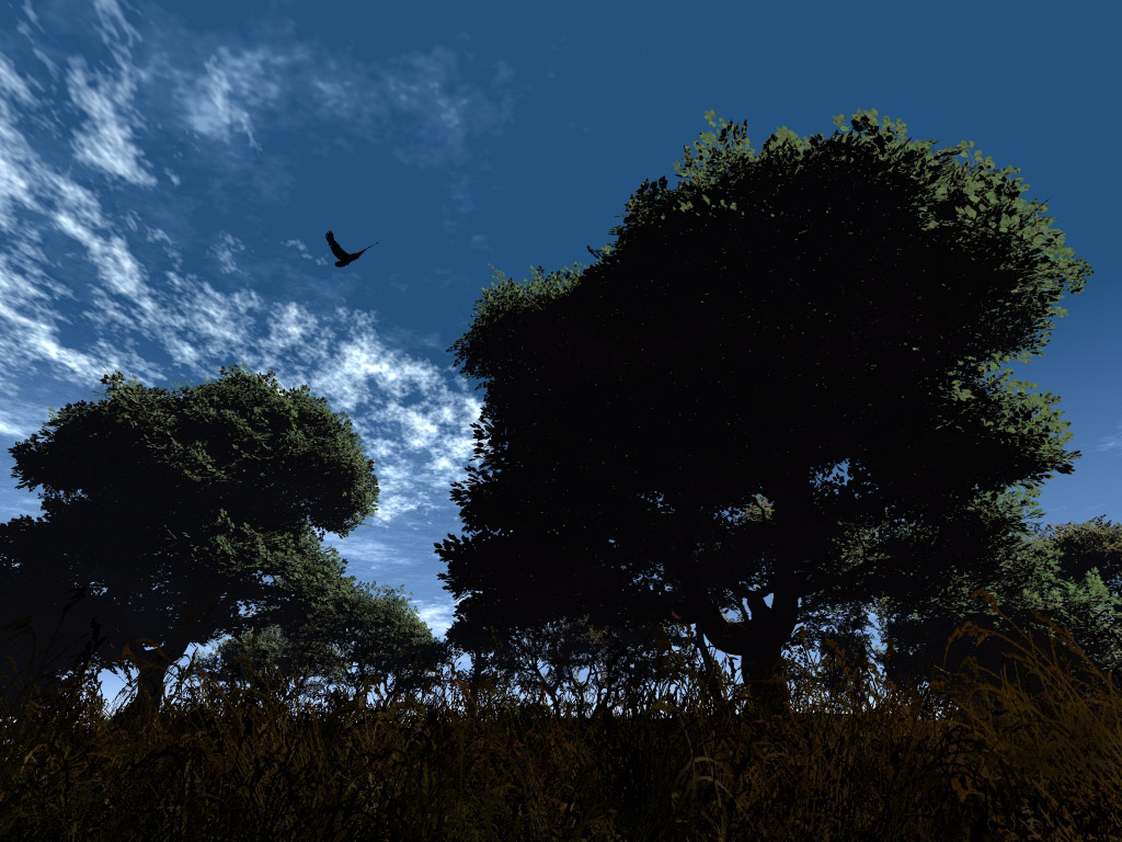 galleryimage217840.jpg